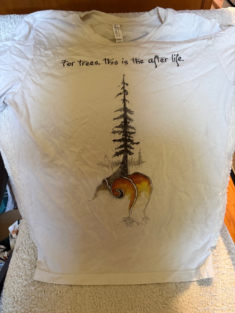 Bella Canvas Northfield Mandolins Graphic Tee Medium